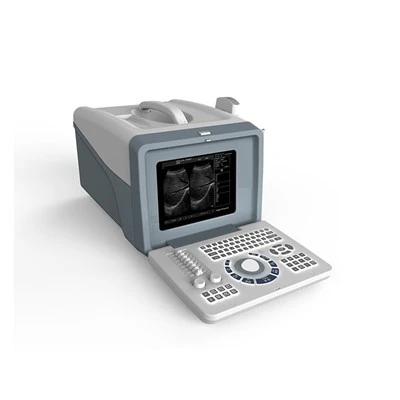 B/W Ultraljud FTL-UTS70